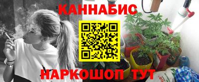 шишки Нальчик