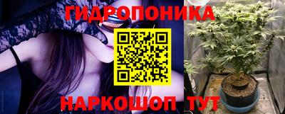 шишки Нальчик