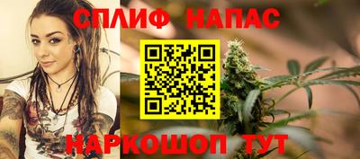 шишки Нальчик